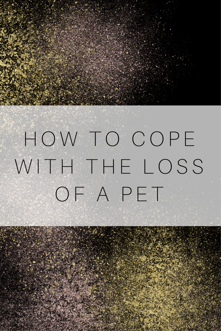 pet grief