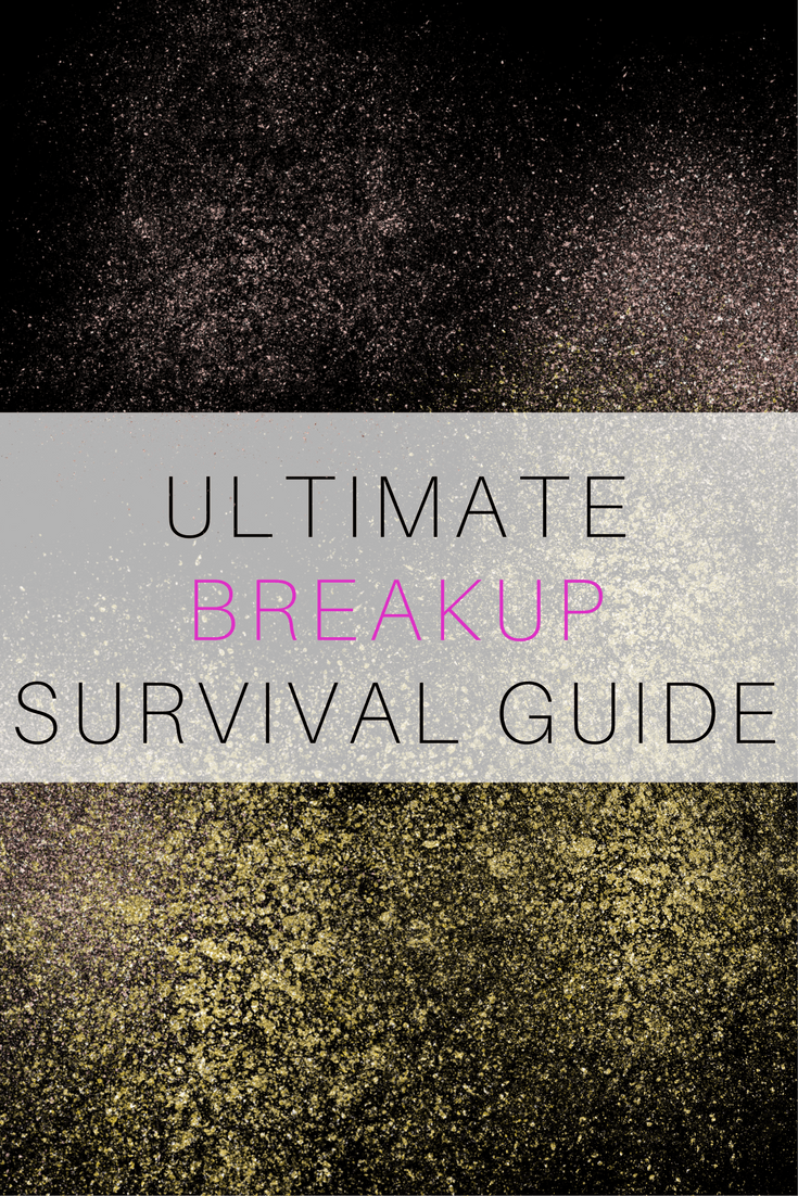 BREAKUP SURVIVAL GUIDE
