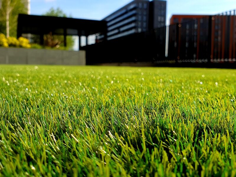 green grass field