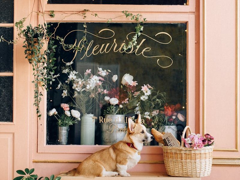 Adorable corgi seated on bench outside a quaint flower shop with vibrant bouquets and charming decor.